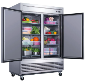 D55R 2-Door Commercial Refrigerator in Stainless Steel